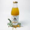 Kombucha La Jaguara, La Cítrica.