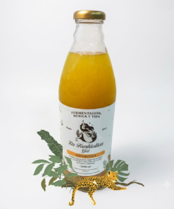 Kombucha La Jaguara, La Cítrica.