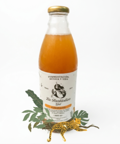 Kombucha La Jaguara, Playa Tropical. (#kombuchabogota #kombucha)